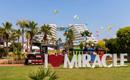 Miracle Resort